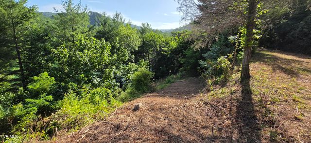 Tbd Lake Hill, Butler, TN 37640