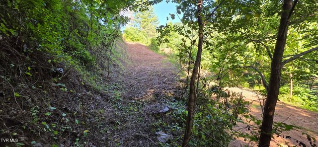 Tbd Lake Hill, Butler, TN 37640