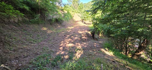 Tbd Lake Hill, Butler, TN 37640
