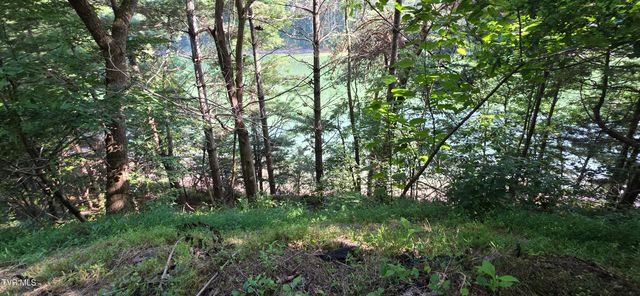 Tbd Lake Hill, Butler, TN 37640