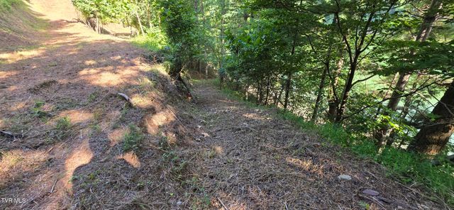 Tbd Lake Hill, Butler, TN 37640