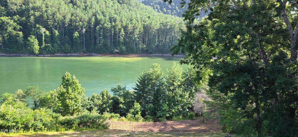Tbd Lake Hill, Butler, TN 37640