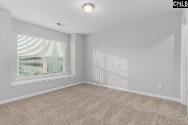 147 Ventnor Avenue, Chapin, SC 29036