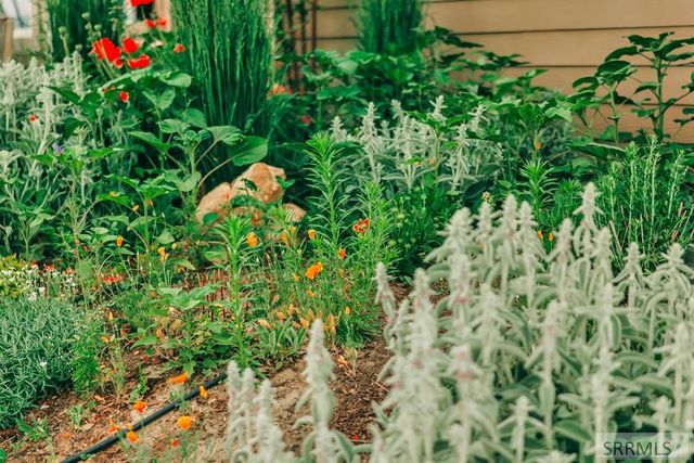 5 Riggan Ln, Salmon, ID 83467