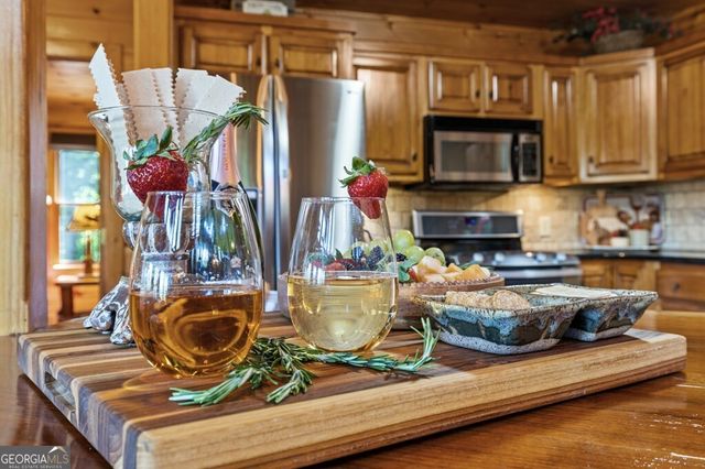 115 Mountain High Drive, Mineral Bluff, GA 30559