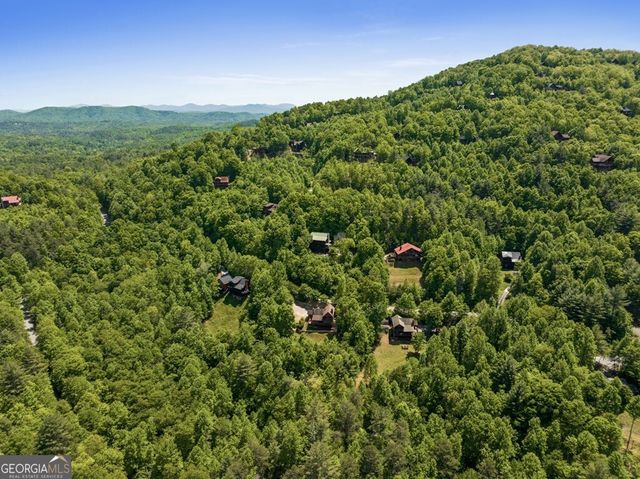 115 Mountain High Drive, Mineral Bluff, GA 30559