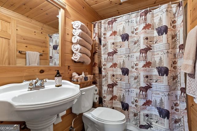 115 Mountain High Drive, Mineral Bluff, GA 30559
