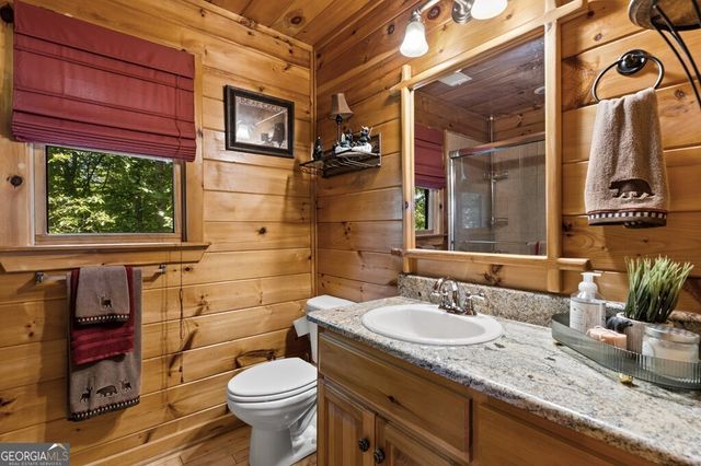 115 Mountain High Drive, Mineral Bluff, GA 30559