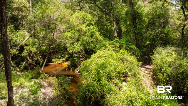1113 Robert Williams Drive, Saraland, AL 36571