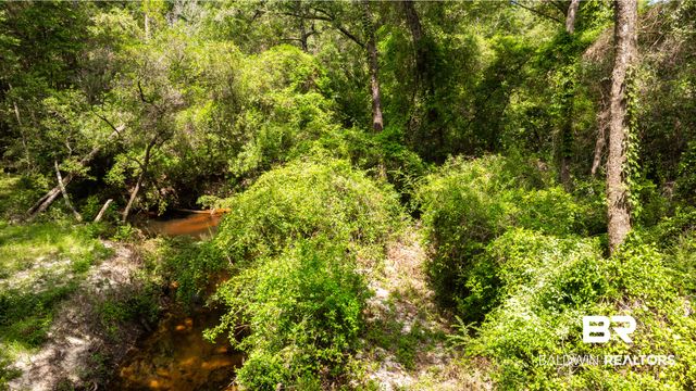 1113 Robert Williams Drive, Saraland, AL 36571