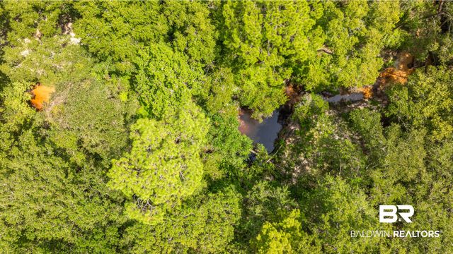 1113 Robert Williams Drive, Saraland, AL 36571