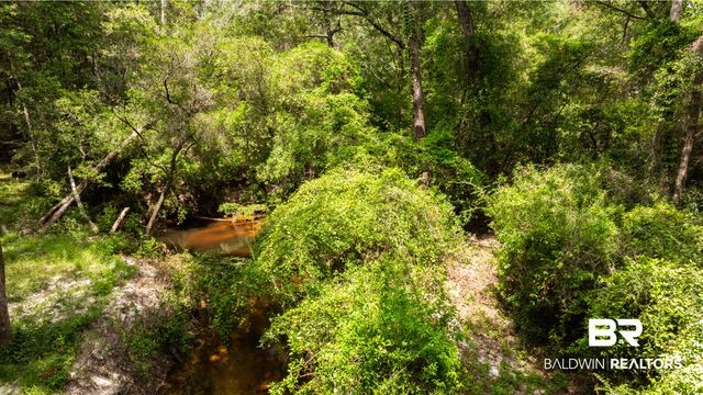 1113 Robert Williams Drive, Saraland, AL 36571