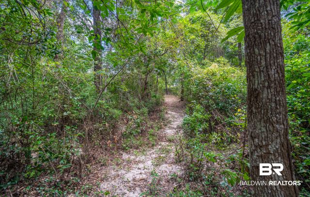 1113 Robert Williams Drive, Saraland, AL 36571