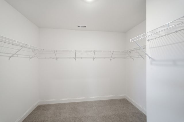 351 Van Conder Place, Hendersonville, TN 37075