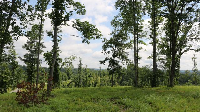 1037 Fairview Blvd, Franklin, TN 37064