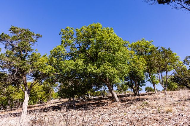 0 Pawnee Path, Hunt, TX 78024