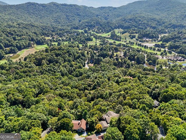 119 Buttermilk Circle, Dillard, GA 30537