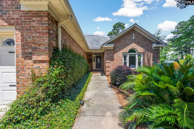 1148 Point View Road, Chapin, SC 29036