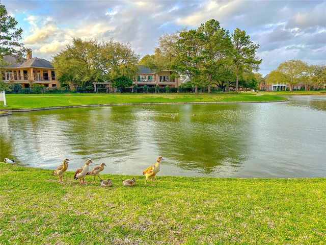 20823 Medallion Pointe Drive, Katy, TX 77450