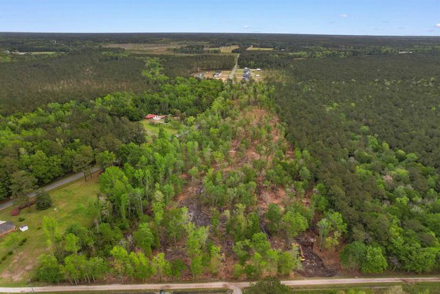 TBD Pauley Swamp Rd., Conway, SC 29527