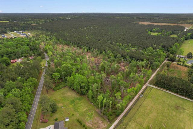 TBD Pauley Swamp Rd., Conway, SC 29527