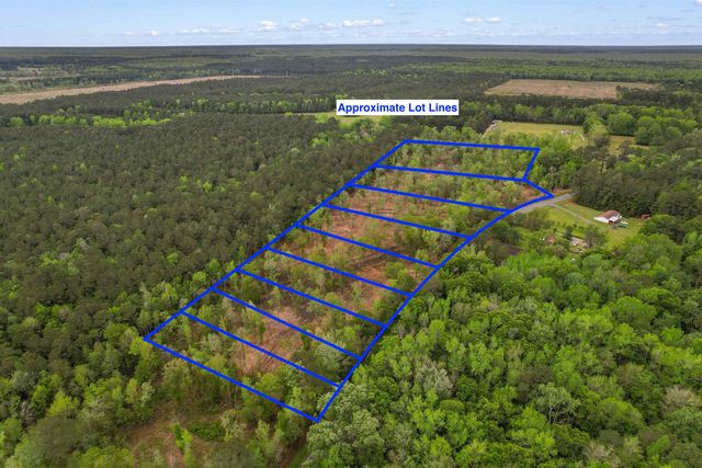 TBD Pauley Swamp Rd., Conway, SC 29527