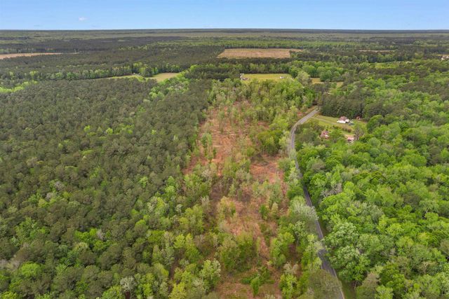 TBD Pauley Swamp Rd., Conway, SC 29527