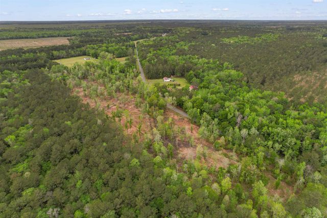 TBD Pauley Swamp Rd., Conway, SC 29527
