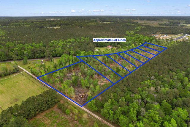 TBD Pauley Swamp Rd., Conway, SC 29527
