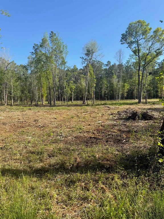 TBD Pauley Swamp Rd., Conway, SC 29527