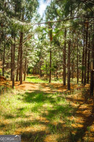 5524 Hooker Branch Road, Millen, GA 30442