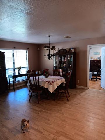 420 Mangum Road, Livingston, TX 77351