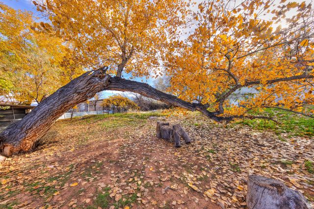 1431 S MILLCREEK DR, Moab, UT 84532