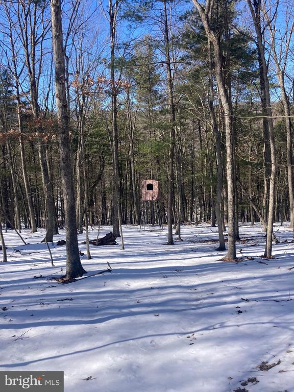 7 AC CABIN RUN RD., Paw Paw, WV 25434
