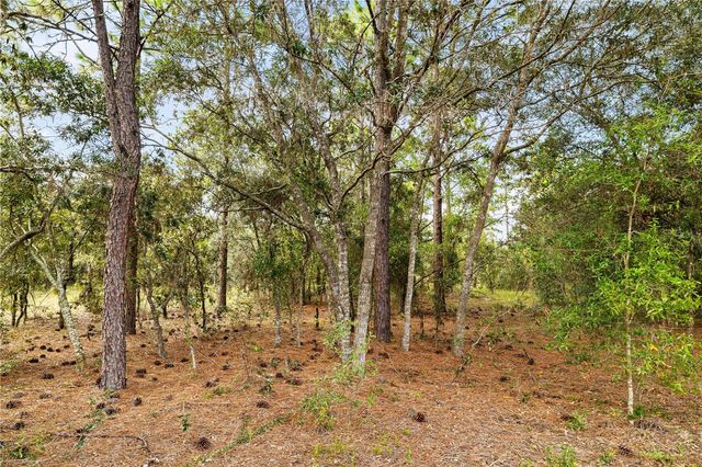 21987 SW MANGO LANE, Dunnellon, FL 34431