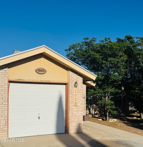 1228 Colina De Oro Street, Horizon City, TX 79928