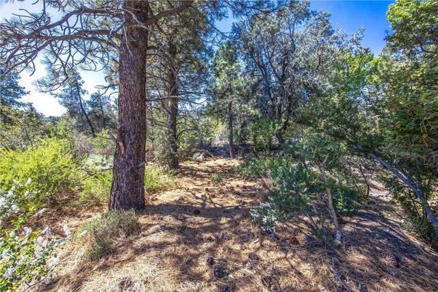 2164 Outer Hwy 2 Highway S, Wrightwood, CA 92397