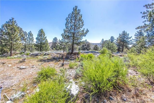 2164 Outer Hwy 2 Highway S, Wrightwood, CA 92397
