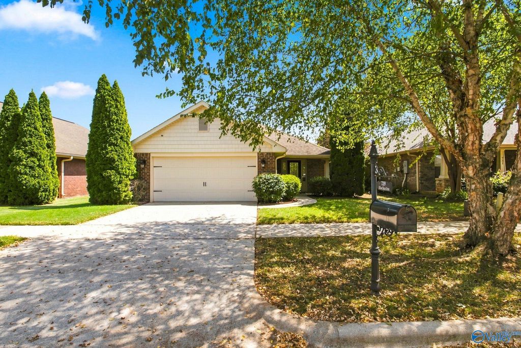 729 Willow Shoals Drive SW, Madison, AL 35756