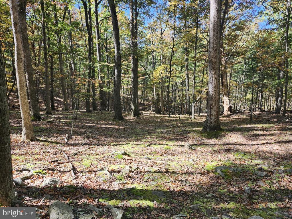 MILL MOUNTAIN ROAD, Romney, WV 26757