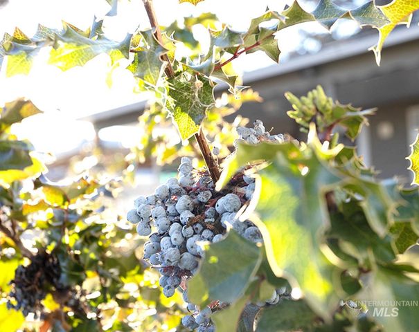 6414 W Randolph Dr, Boise, ID 83709