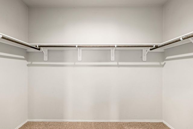 23119 Rivercane Shadow Trail, Spring, TX 77373