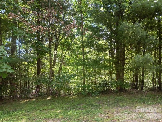 360 Kenmure Drive, Flat Rock, NC 28731