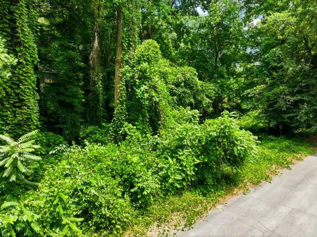 0 Spring Lane NW, Atlanta, GA 30314