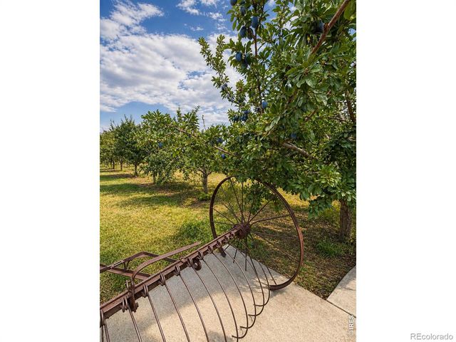 1788 Iron Wheel Drive 1, Windsor, CO 80550