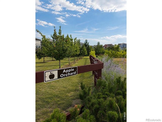 1788 Iron Wheel Drive 1, Windsor, CO 80550