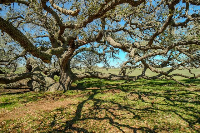 1797 County Road 261, Moulton, TX 77975