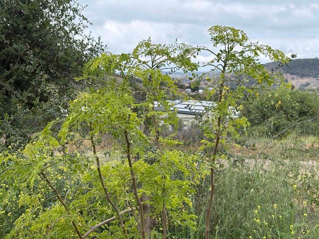 0 Santa Virginia Drive, Valley Center, CA 92082