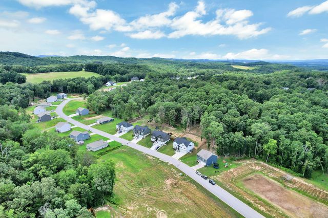 12263 Bull Run, Birchwood, TN 37308