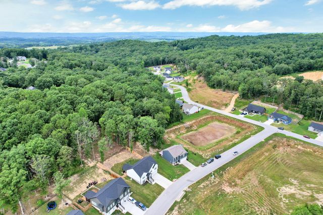 12263 Bull Run, Birchwood, TN 37308